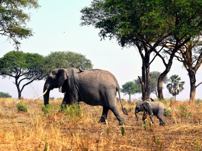 17-DAY ADVENTURE SAFARI