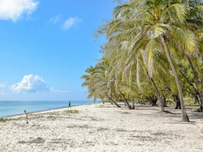 5 Days Kenya Family Coastal Experience