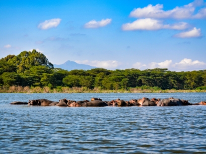 7 Days Kenya Safari Vacation