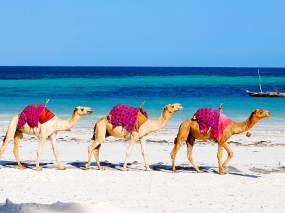 Kenya's Coast