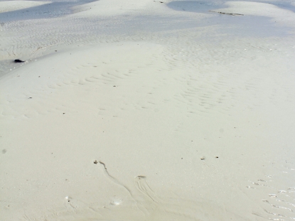 Beach Holidays in Tanzania