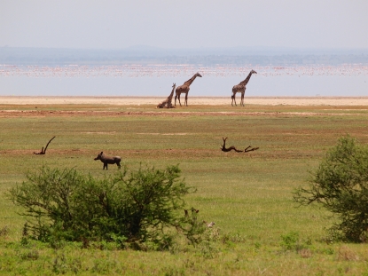 Tanzania's Parks and Rift Lakes