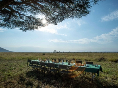 The Bush Breakfast Landing