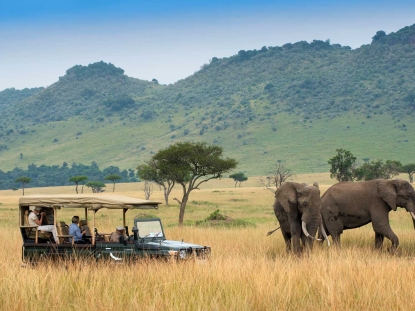 Kenya's Savanna Parks