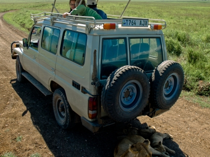 Game Drives in Tanzania
