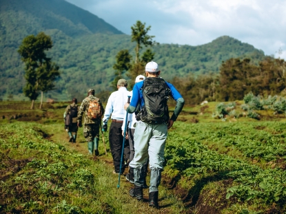 Rwenzori Mountains