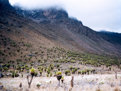 Mount Kenya