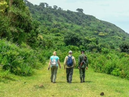 Uganda's Forest and Swamp Walks