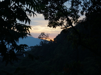 Rwanda's Nyungwe Trails