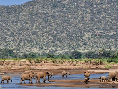 Amboseli, Elephants and Kilimanjaro