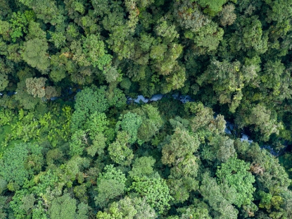 Nature Walks in Rwanda