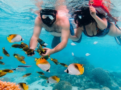 Snorkeling Trips in Tanzania