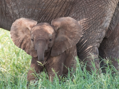 Tarangire National Park